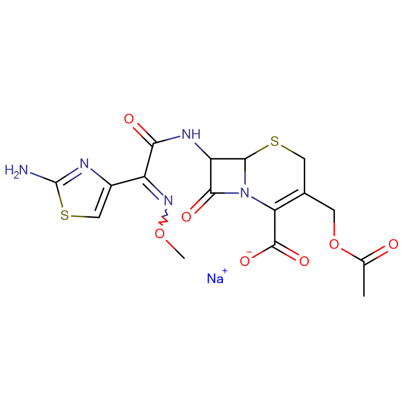 Cefotaxime sodium salt  CAS:64485-93-4 White to light yellow crystalline powder