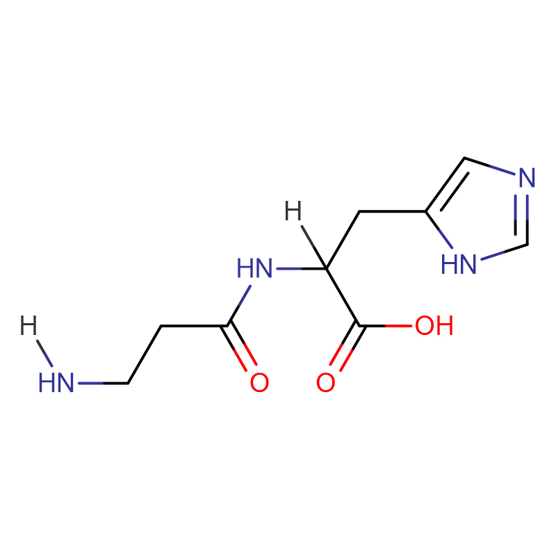RNase A from bovine pancreas  Cas: 9001-99-4 White Powder