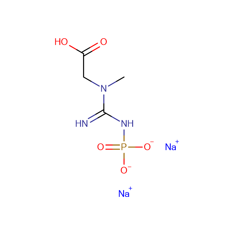 Creatine phosphate disodium salt Cas:922-32-7 98% Yellow powder