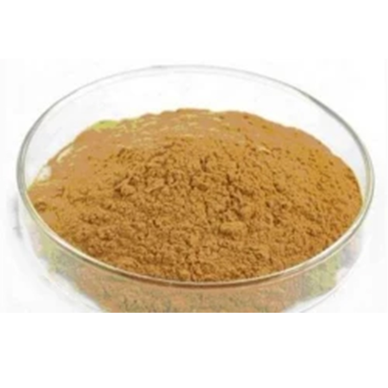 Ginkgo Biloba Extract water soluble  Cas: 90045-36-6