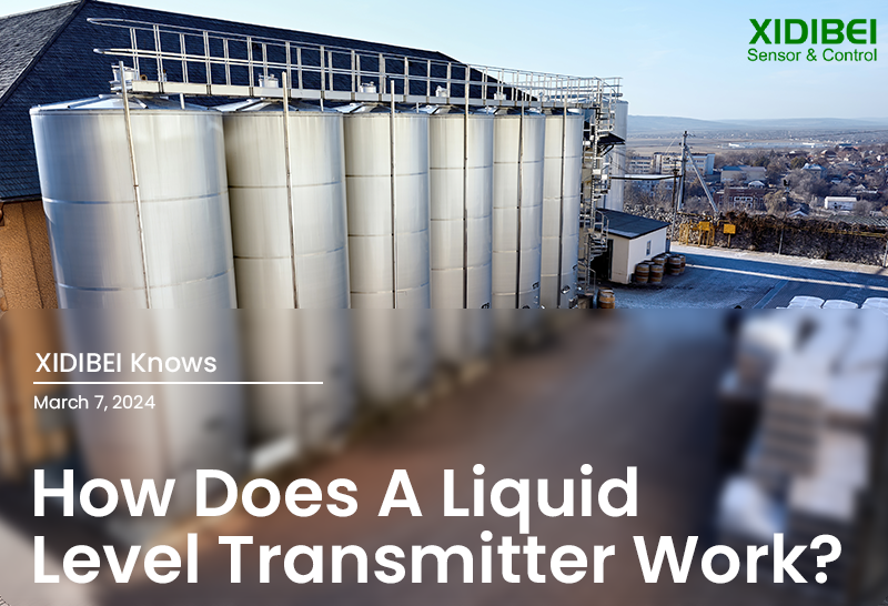 How Does A Level Transmitter Work?