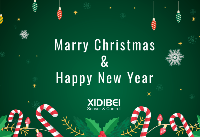 ခရစ္စမတ်တောက်ပမှု- XIDIBEI Group ၏ပွဲတော်အခမ်းအနားနှင့် ရှေ့သို့မျှော်မှန်းချက်