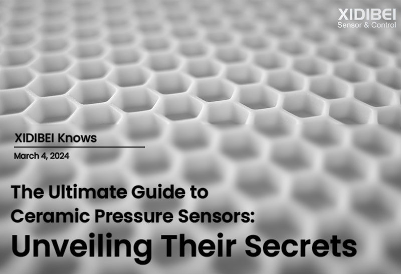 The Ultimate Guide to Ceramic Pressure Sensors: Ho Senola Liphiri Tsa Bona