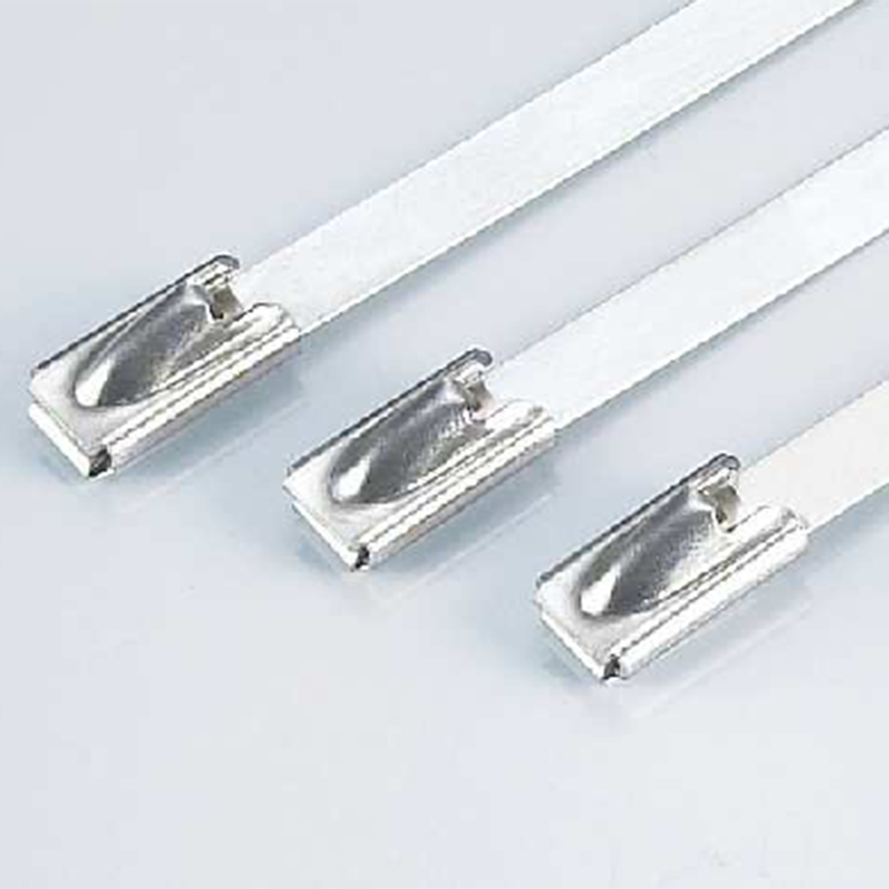China Wholesale Nylon Strap Cable Ties Exporters - Stainless Steel Cable Ties-Ball Lock Type – Jiaxun