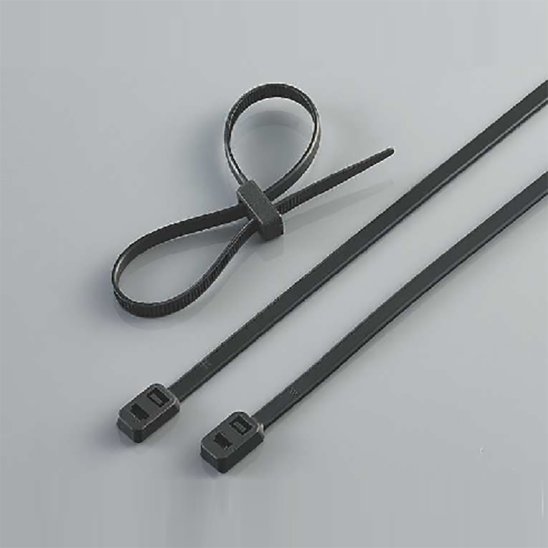 China Wholesale Cable Tie Holder Exporters - nylon 66 double head cable ties – Jiaxun detail pictures