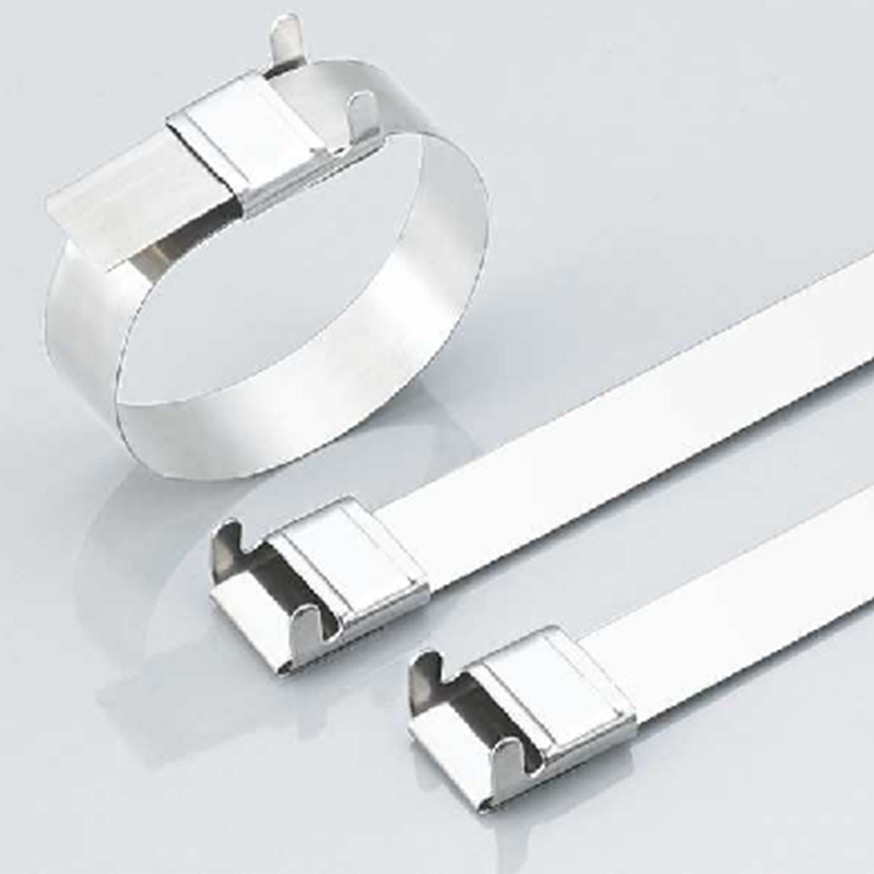 China Wholesale R Type Cable Clamps Exporters - Stainless Steel Cable Ties-Wing Lock Type – Jiaxun