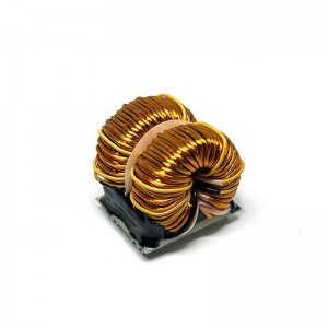High Current Double Magnetic Common mode Choke Toroidal Inductor para sa bagong energy EV charger
