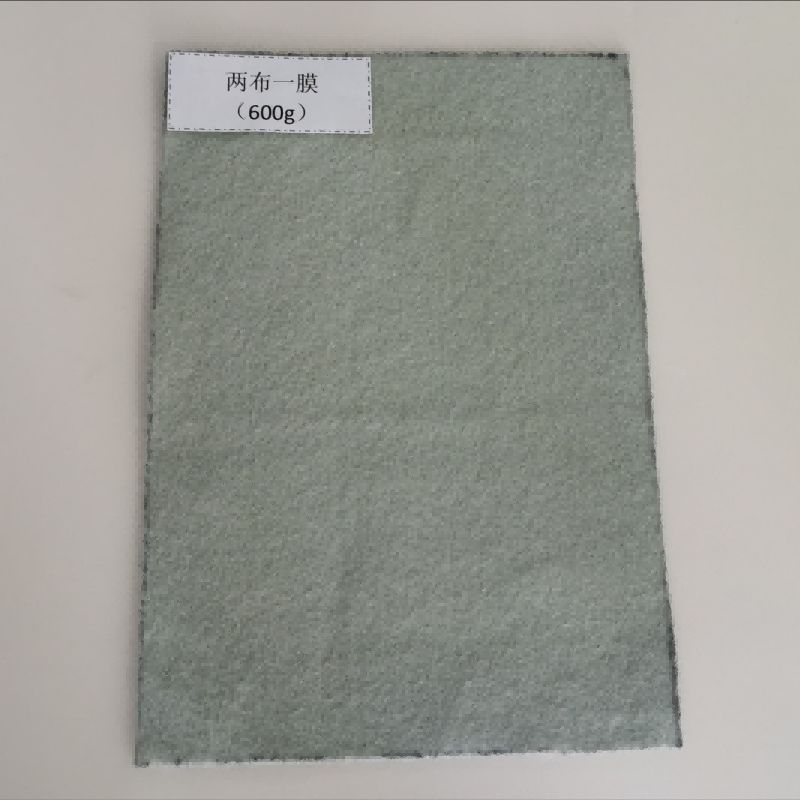 OEM Manufacturer Quick Setting Admixture For Concrete - Anti-aging composite geomembrane – Xiangye
