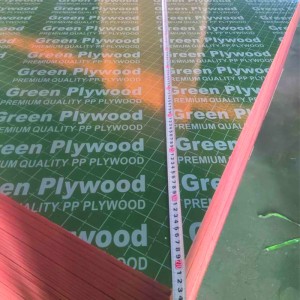 18mm Customized green PP plastic film faced plywood 1220x2440mm film coated plywood for construction