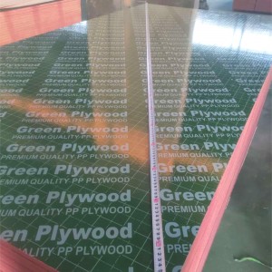 Green PP Plastic marine plywood sheet 4×8 18mm Film Faced Plywood marine plywood for Construction