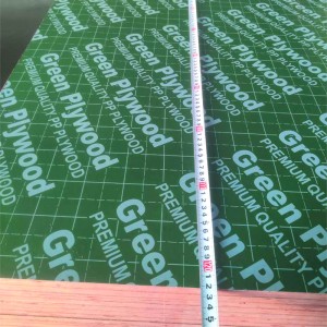 12mm 15mm and 18mm Green Plastic PP Film Faced Plywood wholesale price for Construction