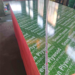18mm Customized green PP plastic film faced plywood 1220x2440mm film coated plywood for construction