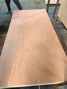 okume bintangor packing board 4×8 plywood sheet for market for Furniture back drawer board
