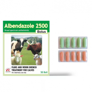 PriceList for Oxytetracycline For Cows - Albendazole tablet – Xinanran