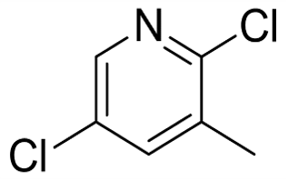 2 5-DICHLORO-3-PICOLINE（CAS# 59782-88-6)