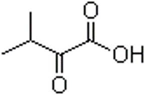 3-methyl-2-oxobutyric acid