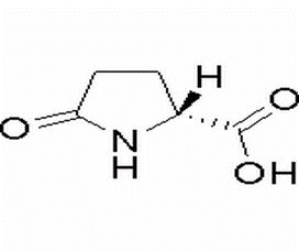 D-Pyroglutamic acid（CAS# 4042-36-8)