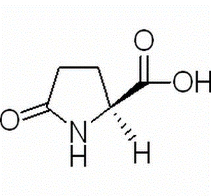 L-Pyroglutamic acid（CAS# 98-79-3)