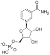 β-Nicotinamide Mononucleotide (CAS# 1094-61-7)