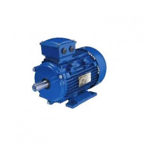 China Forklift Motor –  TYB series three-phase permanent magnet synchronous motor  – INDEX