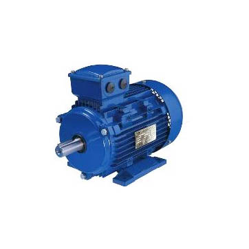 China Electric Motors For Electric Vehicles Manufacturers –  TYB series three-phase permanent magnet synchronous motor  – INDEX