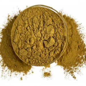 Yeast Powder 50 | 60 CAS:8013-01-2