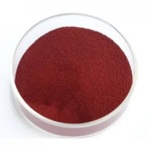 Grape Seed Extract CAS:84929-27-1