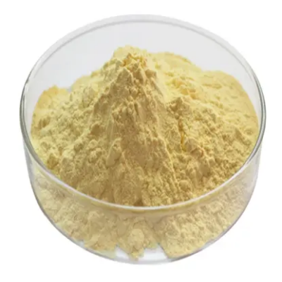 Vegan Soy Protein Isolate CAS:9010-10-0