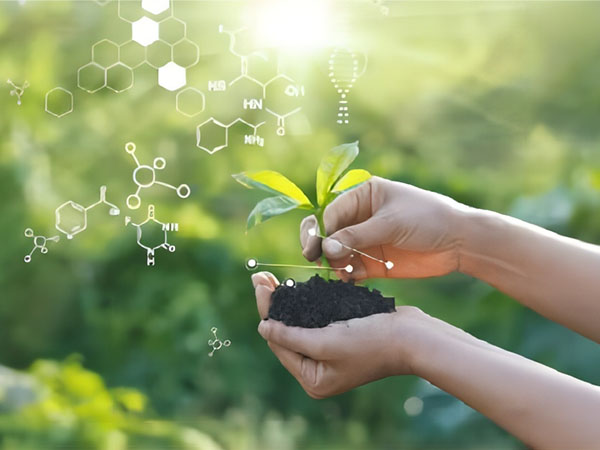 The prospect of green chemical industry