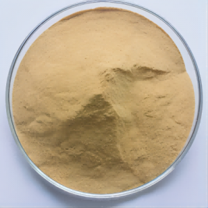 Ribonucleic acid from baker’s yeast  CAS:63231-63-0