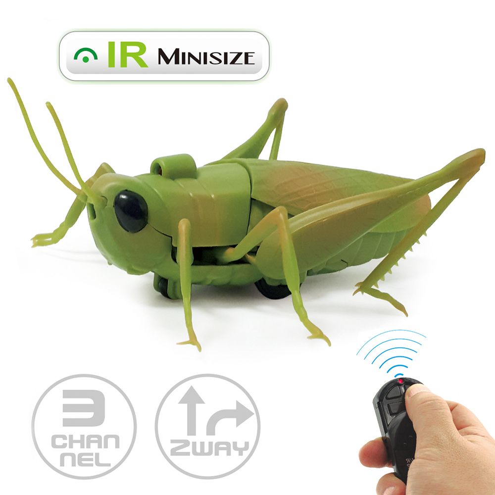 forward backward 3 channel grasshopper rc insect toy factory