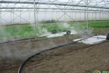 Oslobađanje moći natrijum dihloroizocijanurata u poljoprivrednim praksama