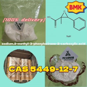 sodium,2-methyl-3-phenyloxirane-2-carboxylic acid （BMK）