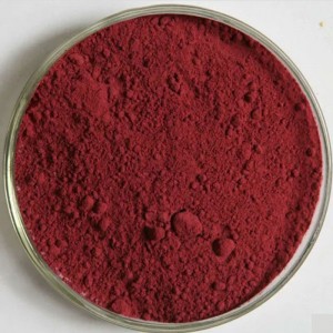 Wholesale Manufacturer Color Pigment Red Iron Oxide CAS 1309-37-1
