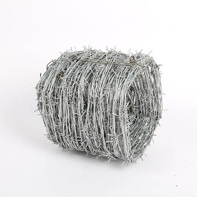 OEM Factory for Razor Mesh Wire – Fine Razor barbed Wire, high quality  – XIN MESH detail pictures