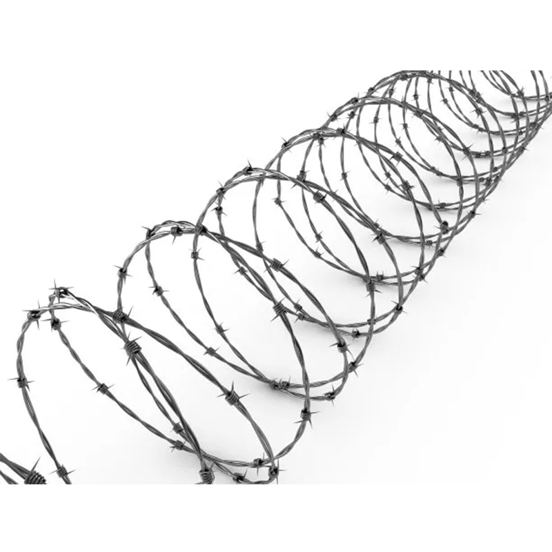 OEM/ODM China Buy Razor Wire - 2.5 mm main wire double strand 4 points hot dipped galvanized Barbed Wire for fence – Xinpan