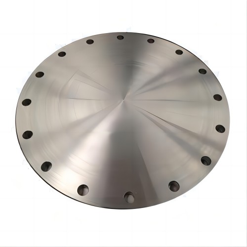 GOST 12836 GOST 33259 Blind Flange Stainless Carbon Steel PN10-1.0MPA