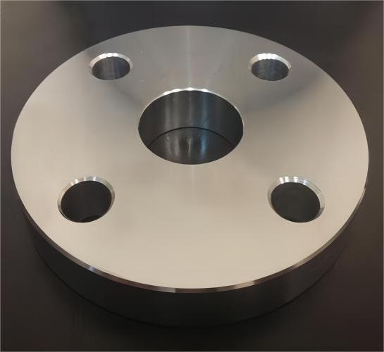 BS 10 Slip On Plate Flange Stainless Steel Table D Table E