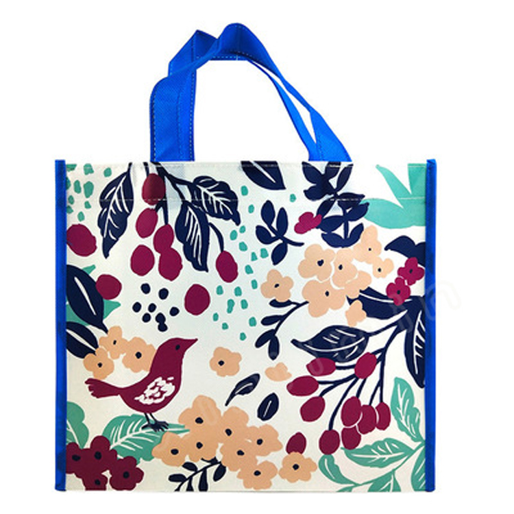 Big Discount Woven Polypropylene Tote Bags - China 2020 fashion good-looking women’s shopping bags – Xinlimin