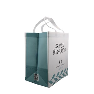 Cheap PriceList for Waterproof Tote Bag With Zipper - Wholesale eco-friendly polypropylene fabric laminated pp non woven handled clothes carrier shopping bag with logos – Xinlimin