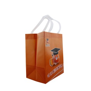 Factory new design laminated pp non woven shopping bag Custom Printed Logo Gift Non Woven Bag Shopping Handle Bag