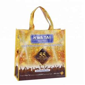 Xiamen eco friendly promotional gold foil metallic laminated  pp non woven garment shopping bag