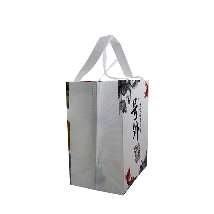 Non Woven Laminated Sheet Printed Loop Handle Shopping Bag