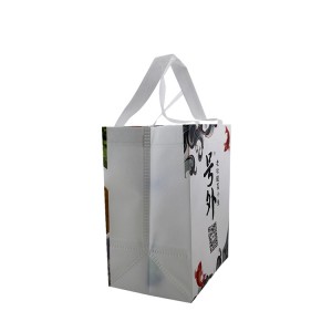 Promotion Custom Printed Reusable Tote Bags Eco-friendly Non Woven Shopping Bags