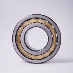 Type 2 cylindrical roller bearings, complete models, manufacturers spot.