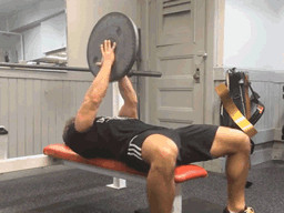Single Plate workout-6 Great training exercises to use bumper plate