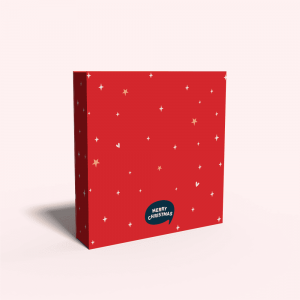 圣诞老人日历盒 (3)