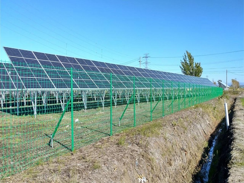 Green PVC coated welded wire fence