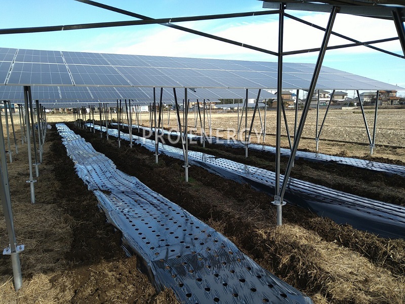 Agricultural solar mounting system