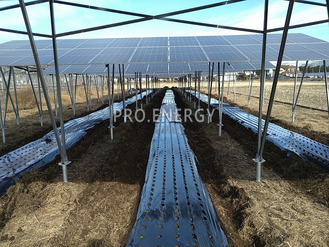 Why Zn-Al-Mg solar mounting system increasingly comes up market?